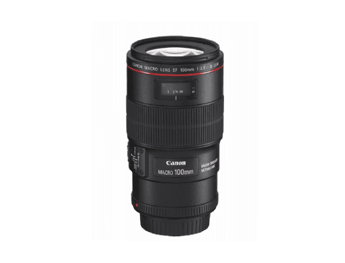 Canon EF100mm F2.8Lマクロ IS USM