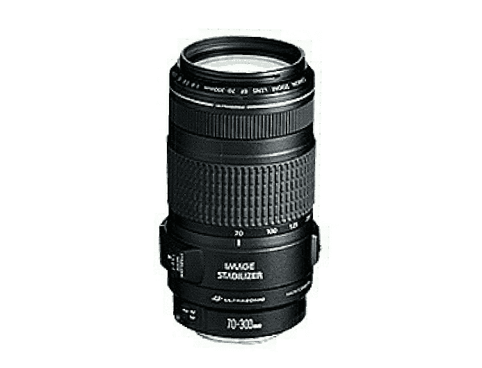Canon EF70-300mm F4-5.6 IS USM