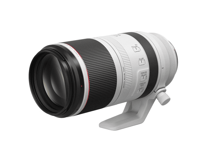 Canon RF100-500mm F4.5-7.1 L IS USM