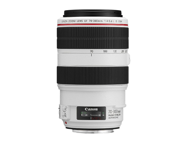 Canon EF 70‐300mm F4-5.6L IS USM